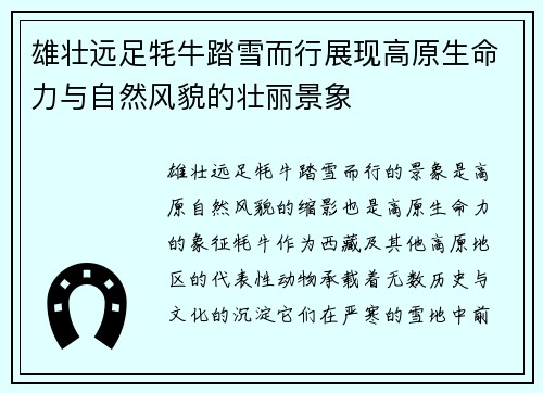 雄壮远足牦牛踏雪而行展现高原生命力与自然风貌的壮丽景象